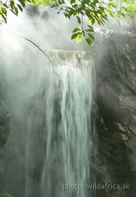 congo forest 6.jpg - Congo Waterfall.